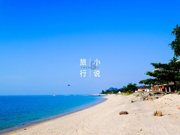 拯救小萌虎
