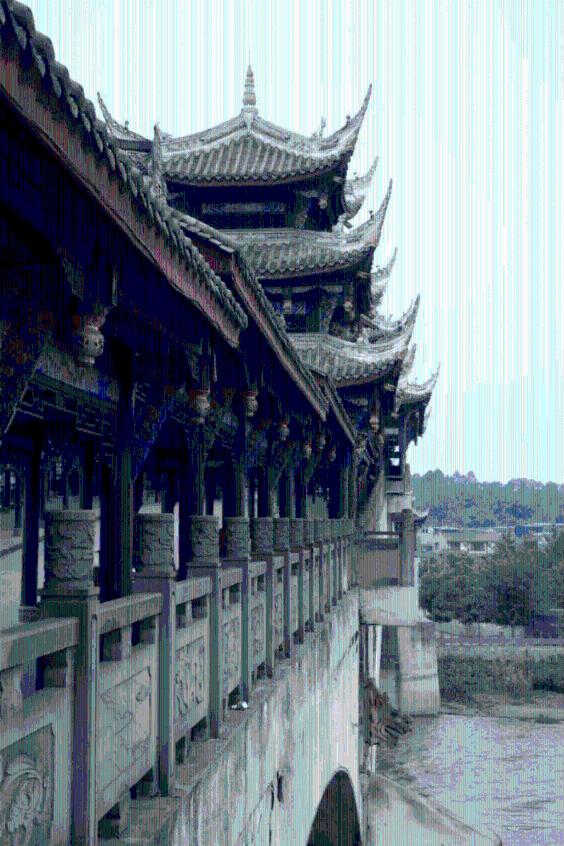 阴暗森林